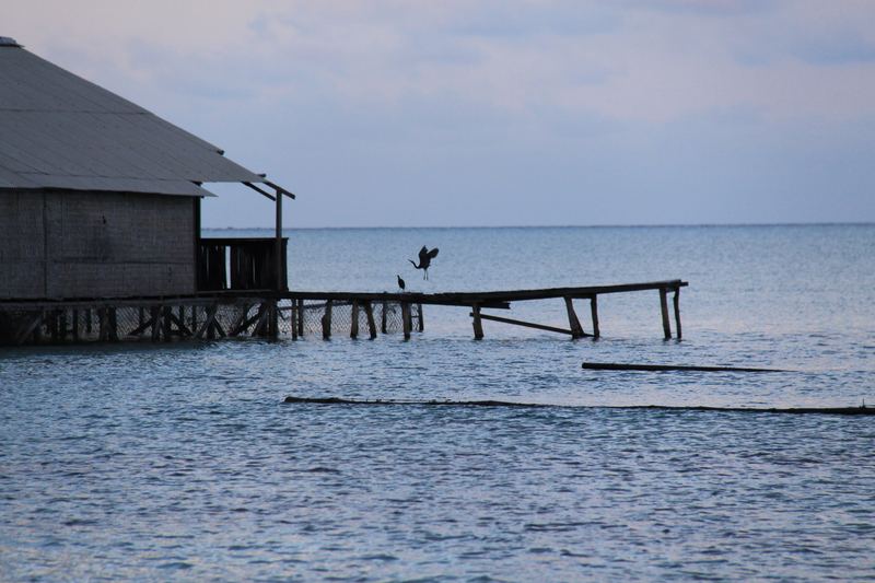 A stilt house and a dock in Karimunjawa